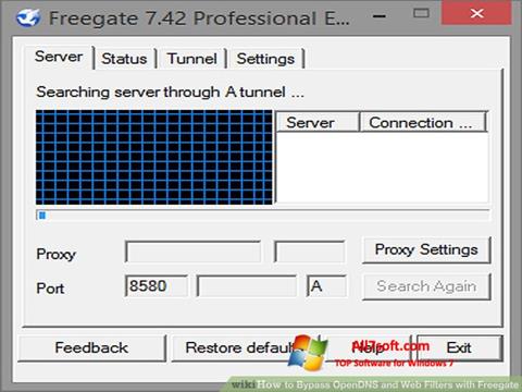 Ekrānuzņēmums Freegate Windows 7